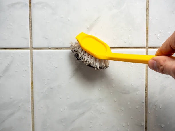 Professional Mold Remediation in Folly Beach, SC