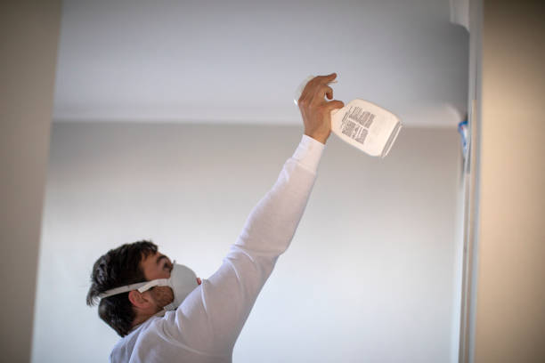 Best Attic Mold Remediation in Folly Beach, SC