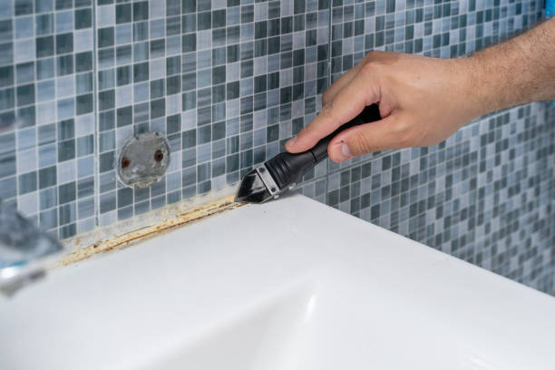 Best Bathroom Mold Remediation in Folly Beach, SC