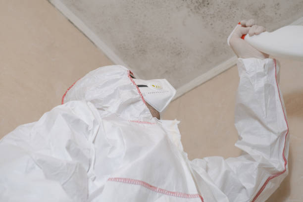 Best DIY Mold Remediation Support Services in Folly Beach, SC