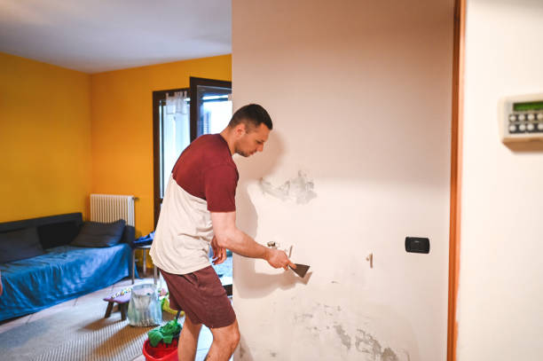 Best Residential Mold Remediation in Folly Beach, SC