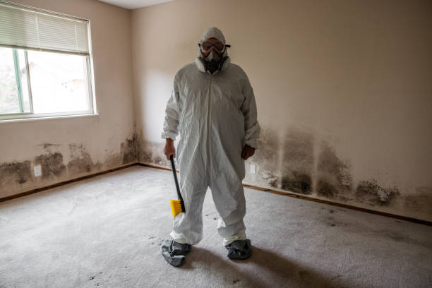 Best Mold Remediation for Specific Building Types in Folly Beach, SC